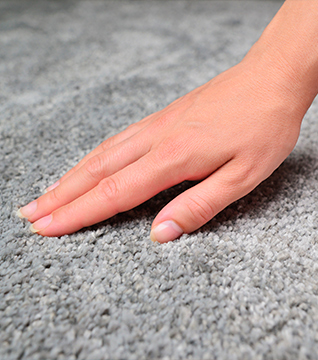 Solicita la limpieza de alfombras a domicilio